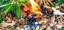 Waldbrandgefahr: Landkreis erlässt Verordnung